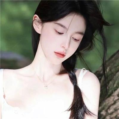 征服北极的人